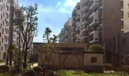 宜州新闻爆料热线最新,聚焦民生热点，传递社会声音