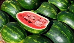 情侣网红吃瓜图片大全,情侣网红吃瓜图片大盘点